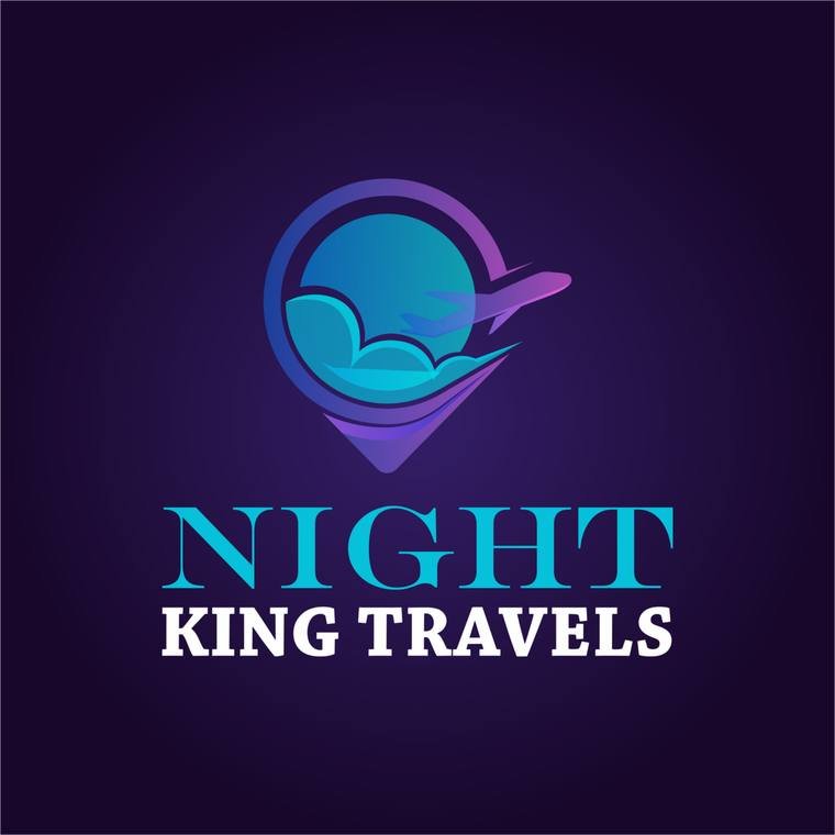 Night King Travels logo, a globe and swoosh mark in teal and violet, by Propix
